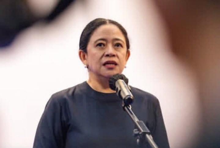 Ketua DPR RI Puan Maharani bicara soal Destry Damayanti diusulkan jadi calon tunggal Gubernur BI (Istimewa)