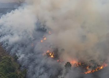 Karhutla Kalimantan yang terjadi pada beberapa hari ini disebabkan oleh tangan manusia yang ingin mencari keuntungan (Instagram @folkkalteng)