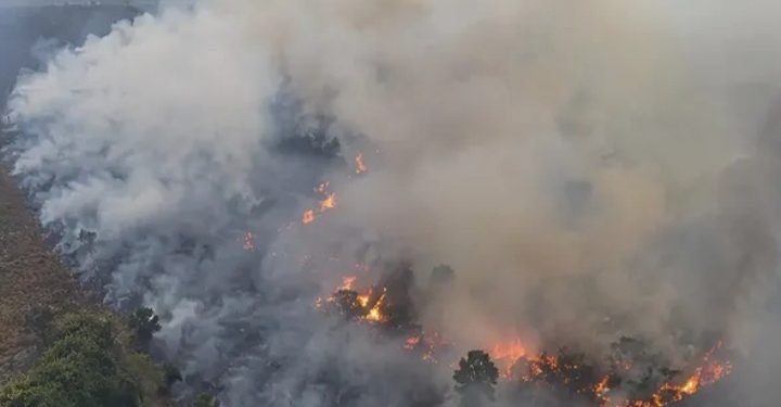 Karhutla Kalimantan yang terjadi pada beberapa hari ini disebabkan oleh tangan manusia yang ingin mencari keuntungan (Instagram @folkkalteng)