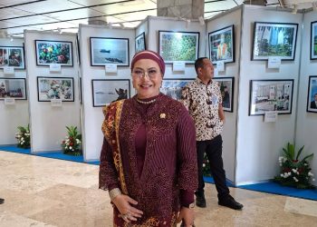 Ina Ammania